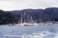 11 Marlborough Sound